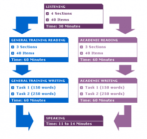 IELTS module